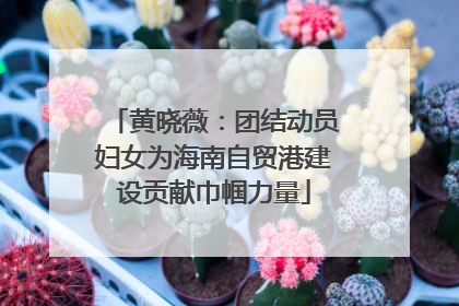 黄晓薇：团结动员妇女为海南自贸港建设贡献巾帼力量