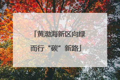 黄渤海新区向绿而行“碳”新路