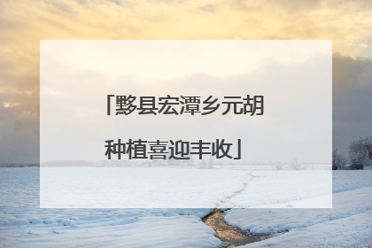 黟县宏潭乡元胡种植喜迎丰收