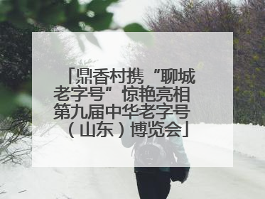 鼎香村携“聊城老字号”惊艳亮相第九届中华老字号（山东）博览会