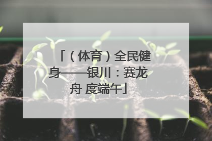 （体育）全民健身——银川：赛龙舟 度端午