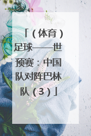 （体育）足球——世预赛：中国队对阵巴林队（3）