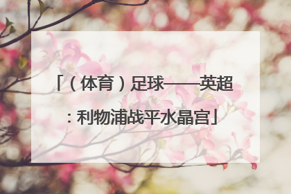 （体育）足球——英超：利物浦战平水晶宫