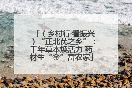 （乡村行·看振兴）“正北芪之乡”：千年草本焕活力 药材生“金”富农家