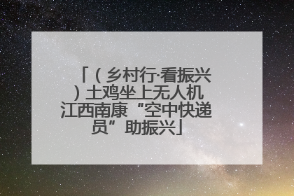 （乡村行·看振兴）土鸡坐上无人机 江西南康“空中快递员”助振兴