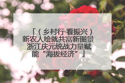 （乡村行·看振兴）新农人绘就共富新图景 浙江庆元统战力量赋能“海拔经济”