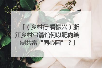 （乡村行·看振兴）浙江乡村弓箭馆何以靶向绘制共富“同心圆”？