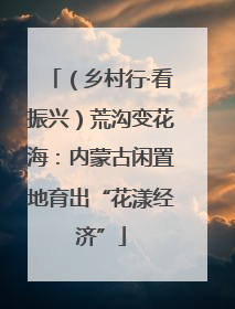 （乡村行·看振兴）荒沟变花海：内蒙古闲置地育出“花漾经济”