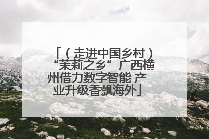 （走进中国乡村）“茉莉之乡”广西横州借力数字智能 产业升级香飘海外