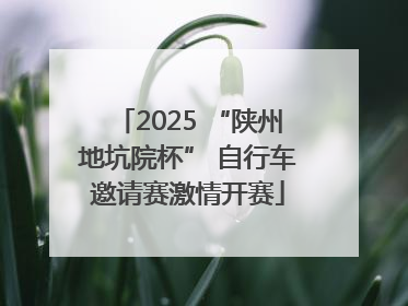 2025 “陕州地坑院杯” 自行车邀请赛激情开赛