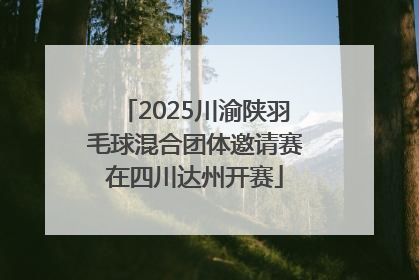 2025川渝陕羽毛球混合团体邀请赛在四川达州开赛