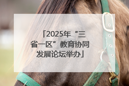 2025年“三省一区”教育协同发展论坛举办