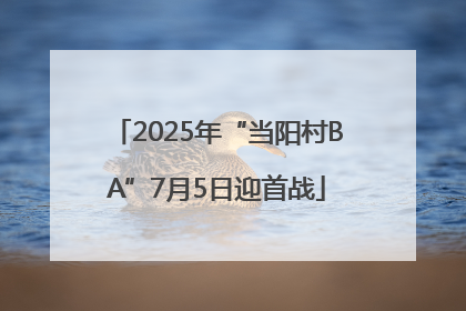 2025年“当阳村BA”7月5日迎首战