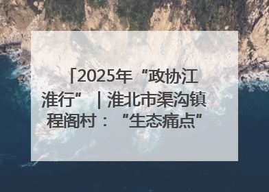 2025年“政协江淮行”｜淮北市渠沟镇程阁村：“生态痛点”变“生态景观”