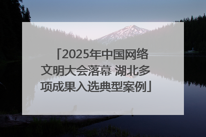 2025年中国网络文明大会落幕 湖北多项成果入选典型案例