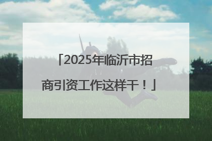 2025年临沂市招商引资工作这样干！