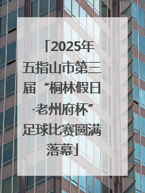 2025年五指山市第三届“桐林假日·老州府杯”足球比赛圆满落幕