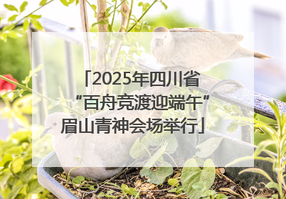 2025年四川省“百舟竞渡迎端午”眉山青神会场举行