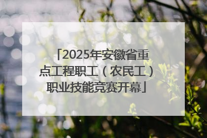 2025年安徽省重点工程职工（农民工）职业技能竞赛开幕