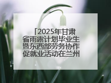 2025年甘肃省雨露计划毕业生暨东西部劳务协作促就业活动在兰州新区举办