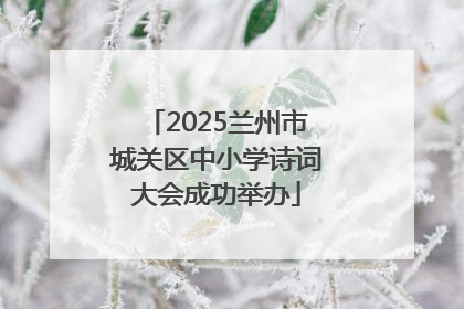 2025兰州市城关区中小学诗词大会成功举办
