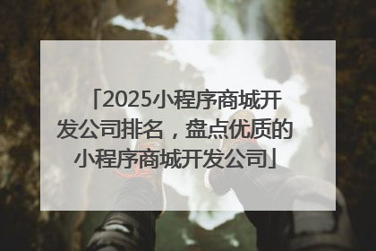 2025小程序商城开发公司排名，盘点优质的小程序商城开发公司