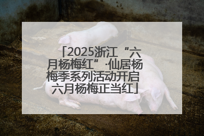 2025浙江“六月杨梅红”·仙居杨梅季系列活动开启 六月杨梅正当红
