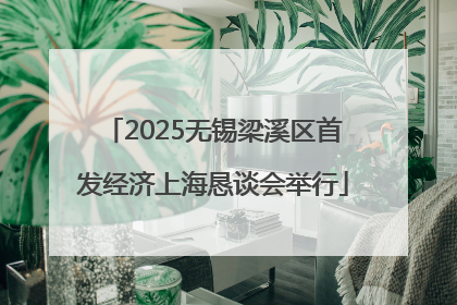 2025无锡梁溪区首发经济上海恳谈会举行