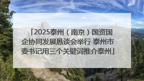 2025泰州(南京)国资国企协同发展恳谈会举行 泰州市委书记用三个关键词推介泰州