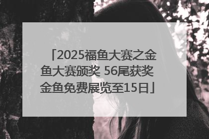 2025福鱼大赛之金鱼大赛颁奖 56尾获奖金鱼免费展览至15日