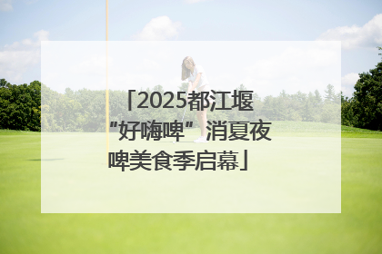 2025都江堰“好嗨啤”消夏夜啤美食季启幕