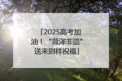 2025高考加油！“菏泽非遗”送来别样祝福