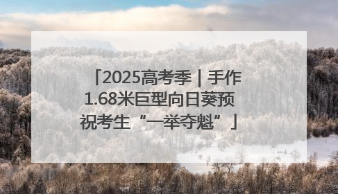 2025高考季｜手作1.68米巨型向日葵预祝考生“一举夺魁”