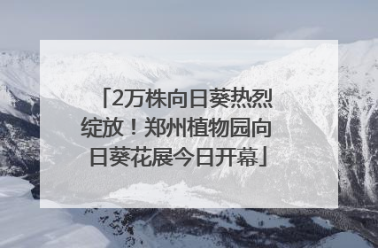 2万株向日葵热烈绽放！郑州植物园向日葵花展今日开幕
