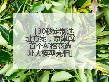 30秒定制选址方案，京津冀首个AI招商选址大模型亮相