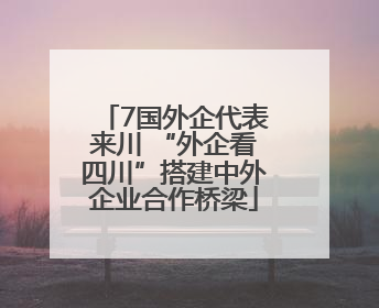 7国外企代表来川 “外企看四川”搭建中外企业合作桥梁