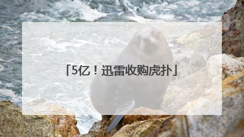 5亿！迅雷收购虎扑