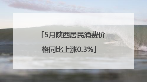 5月陕西居民消费价格同比上涨0.3%