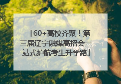 60+高校齐聚！第三届辽宁融媒高招会一站式护航考生升学路