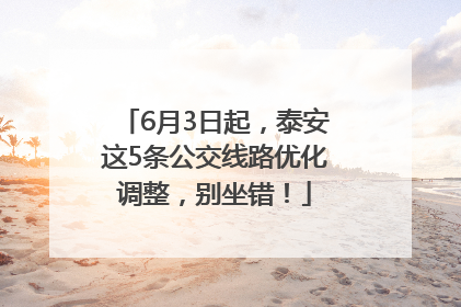 6月3日起，泰安这5条公交线路优化调整，别坐错！