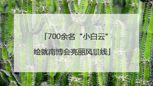 700余名“小白云”绘就南博会亮丽风景线
