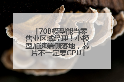 70B模型能当零售业区域经理！小模型加速端侧落地，芯片不一定要GPU