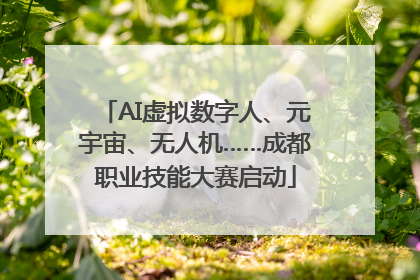 AI虚拟数字人、元宇宙、无人机……成都职业技能大赛启动