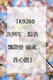 K9260次列车：粽香飘散处 铺就连心路