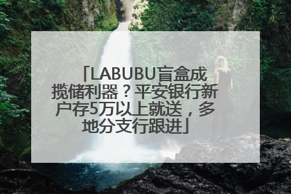 LABUBU盲盒成揽储利器？平安银行新户存5万以上就送，多地分支行跟进