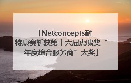 Netconcepts耐特康赛斩获第十六届虎啸奖“年度综合服务商”大奖