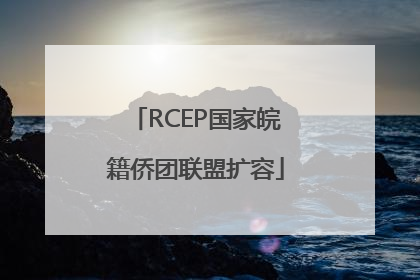 RCEP国家皖籍侨团联盟扩容